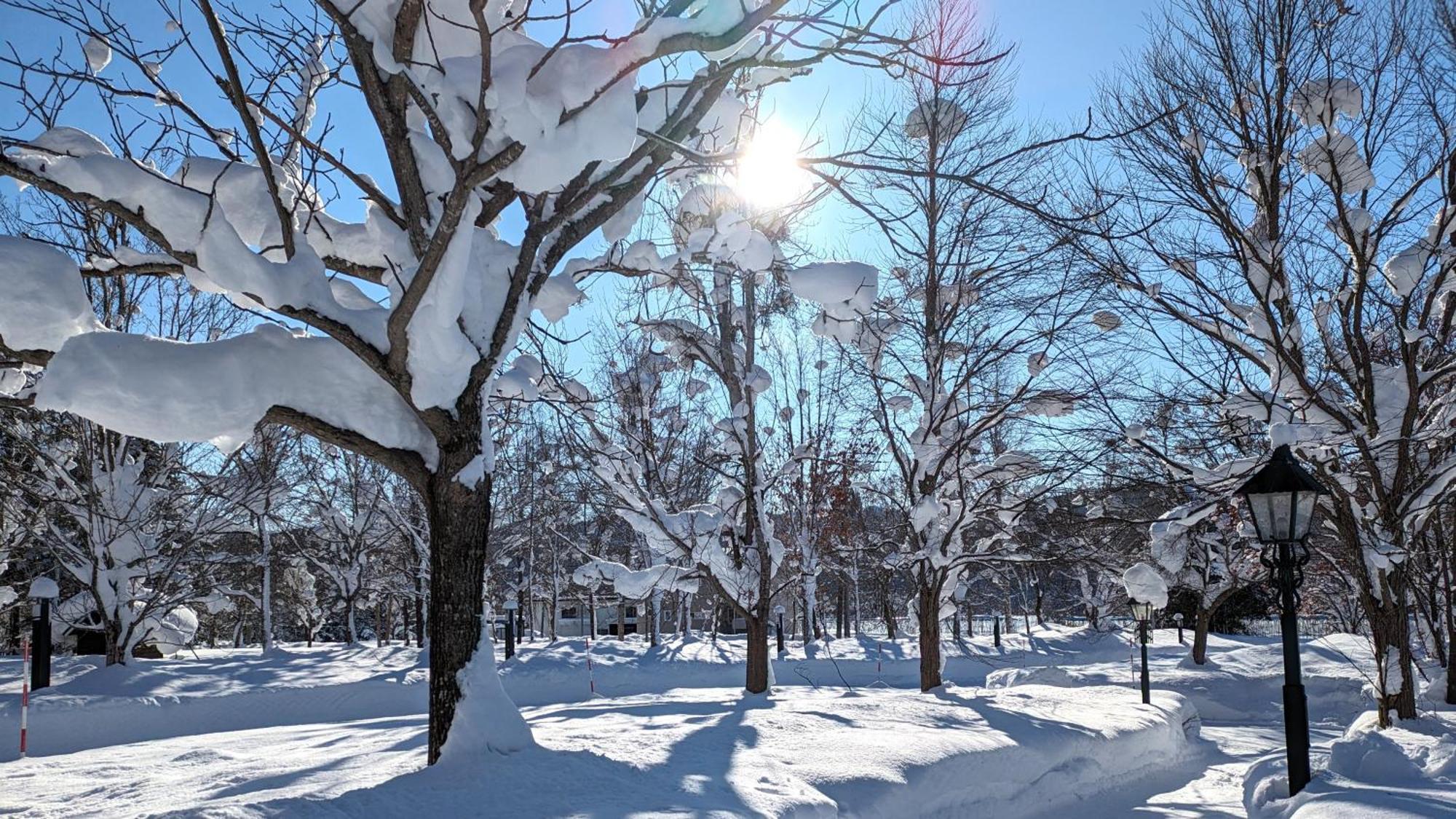 ログホテル メープルロッジ 岩見沢市 エクステリア 写真